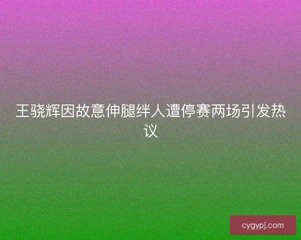 王骁辉因故意伸腿绊人遭停赛两场引发热议